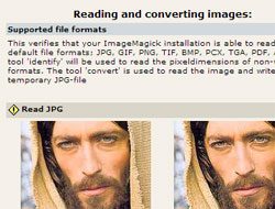 The installer uses a lot of Jesus Images to test, whether everything is set up correctly
