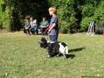 spaniel youngster