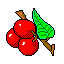 cherries