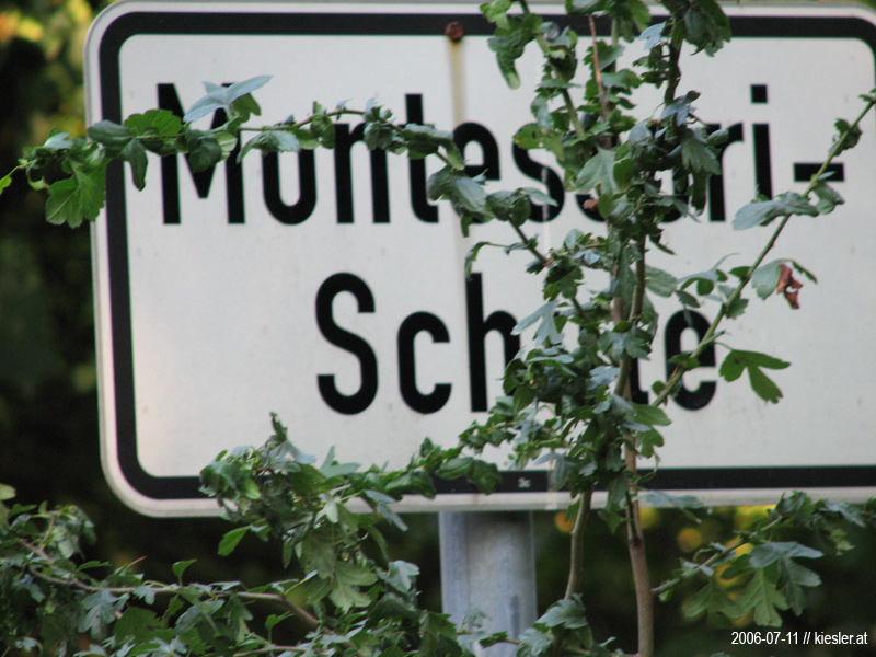 Montessori School