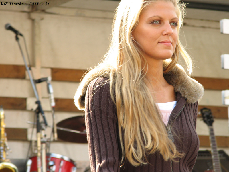 Brown Vest