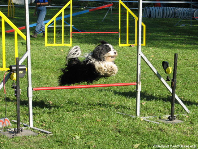 Jump 2