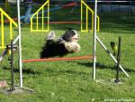 Jump 2