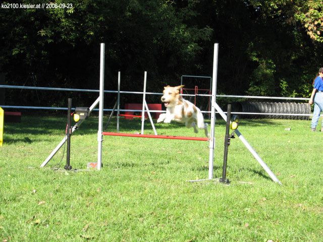 Jump 3