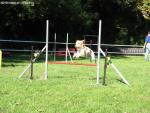 Jump 3