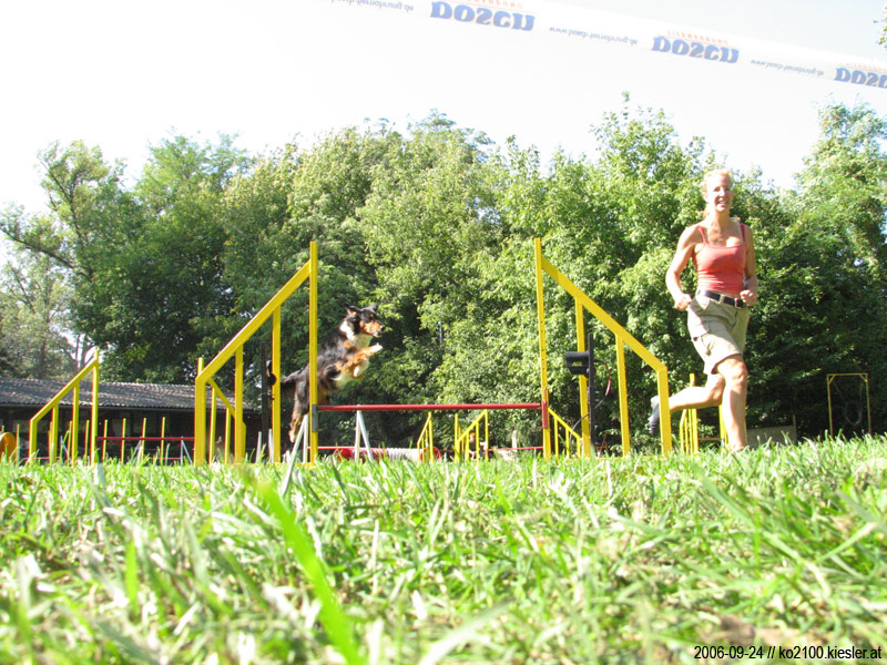 jumping 6