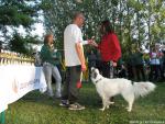 ceremony 11