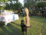 ceremony 49