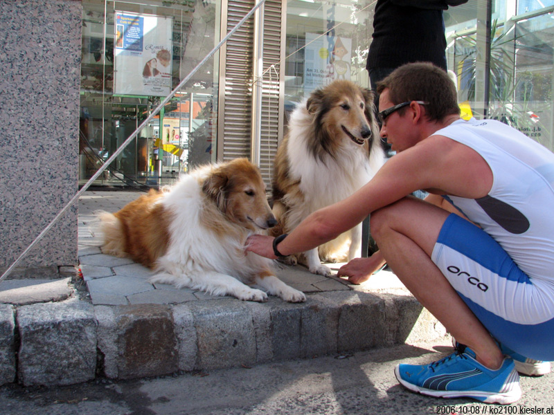 Collies