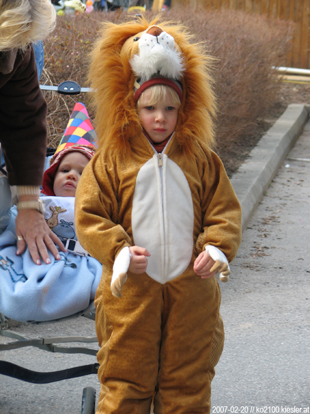 little lion