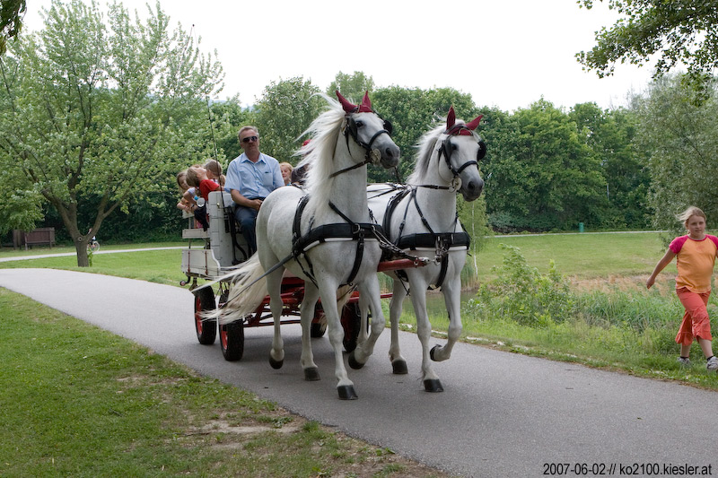 horse ride