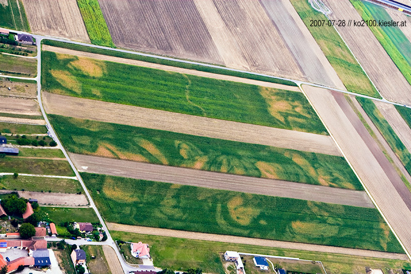 fields 4