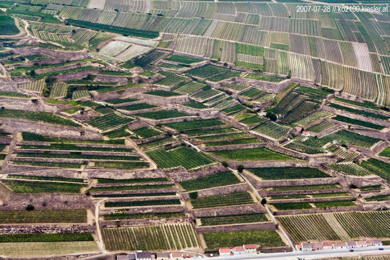 fields 6