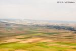 fields