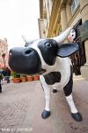 cow