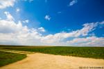 landscape 1