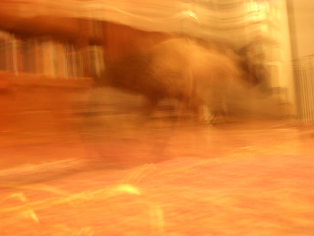 blurry2