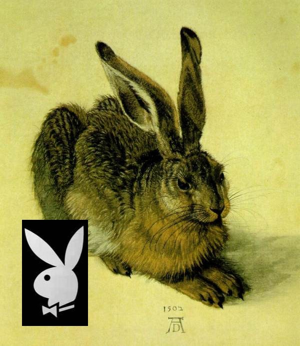 Bunnies